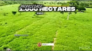 EXCELENTE PROPRIEDADE 1.000 HECTARES PEDRA AZUL-MG R$ 7 MILHÕES #gado #pecuarista #fazenda #agro 