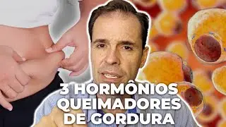CONHEÇA OS 3 HORMÔNIOS ANTI-INSULINA QUE SÃO OBRIGATÓRIOS PARA 90% DOS DIABÉTICOS