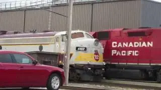 Rare!! Royal Canadian Pacific FB9`s in Alyth yard!