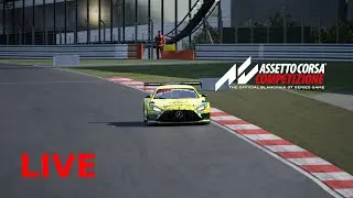 Assetto Corsa Competizione Online Rennen mit Lenkrad