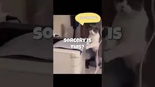Cat's Mind Blown by Mysterious Paper Machine! 🤯🐱📄