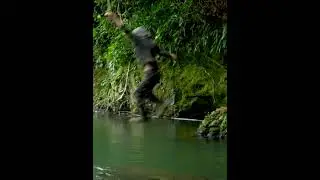 #survival #solo #survivor #nature #alone #fishing #camping #primitive technology #289