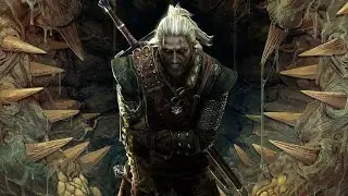 The Witcher 2 - Arena Of Rage drill remix