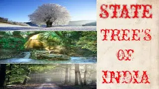 STATE TREE OF INDIAN STATE |STATE TREE|INDIAN STATE.