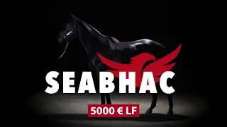 Haras de St. Arnoult: SEABHAC