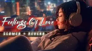 Feeling Of Love Songs || Slowed and Reverb Beats | Study, Sleep & Chill Lofi Songs-19 | Vibe Song🎵🫰💕
