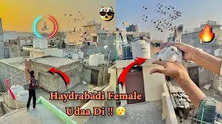 Pakdi hui Haydrabadi ke par khol ke tawe lagay 🔥😮‍💨|| lakin ek female tawe mein se nikal gay 💔