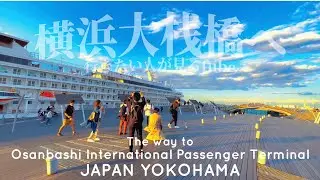 🚢横浜みなとみらい大桟橋をぐるっとご案内【行き方アクセス|日本大通駅中華街横浜観光】Yokohama Osanbashi International Passenger Terminal.