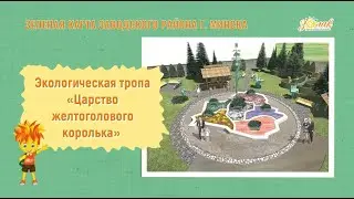 Царство желтоголового королька