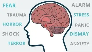 Neurovation Labs Informational Video