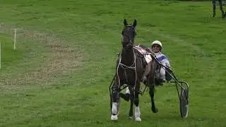 ALMELEY & MERTHYR HARNESS RACES 2017 FREE FOR ALL RACE