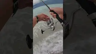 Florida Snook Fishing on Spinning Gear | Beach & Inshore Saltwater Fishing