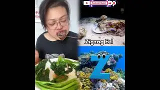 🐠Abc Sea Animals Song😱 #music #love #beach #nurseryrhymes #shorts #short #shortsfeed #shortsfeeds