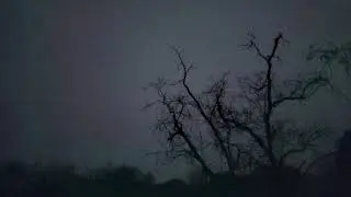Finding Bond Test Clip - Horror Moon