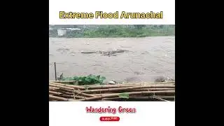 Heavy Flood in Arunachal Pradesh | Stay Safe #flood #viralvideo #nature #arunachalpradesh