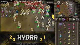 HYDRA PURE CLAN (Osrs) - SUNDAY WAR - August 22nd 2021