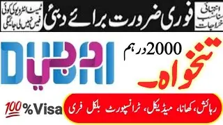 Semi Government company dubai jobs for freshers 2023