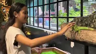 CEBU OCEAN PARK - The BIGGEST OCEANARIUM and First Aqua Dining in the Philippines Walking Tour 2025