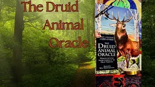 &ldquo;The Druid Animal Oracle&rdquo; a deeply delighted flip through and review
