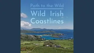 Soothing Waves Lapping on the Kerry Coastline