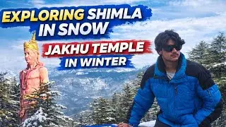 Magical Shimla in Snow 🌨️ Trek to Jakhu Temple & Kufri updates
