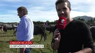Olimpiada del tudanco 2018