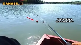Langsung slep di depan mata..!! Siapapun pasti panik kalau ditarik ikan besar seperti ini