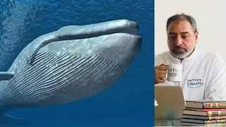 فيديو ١: ماذا لو كان معنا نبي ﷲ يونس ﷺ ؟