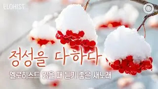 엘로히스트 읽을 때 듣기 좋은 새노래 #2│2026