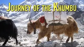 MOUNT EVEREST's Beautiful Khumbu Valley of Nepal #everest #trekking #mountains