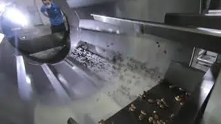 Oil spray and seasoning system for the roasted Almond