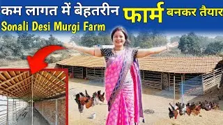 कम लागत में बेहतरीन फार्म🏕️Desi Poultry Bamboo Shed | बाँस का नया फार्म बनकर तैयार