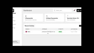 Password manager 