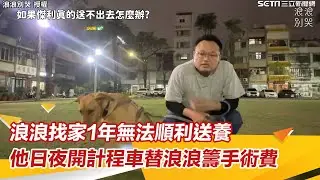 浪浪找家1年無法順利送養　他日夜開計程車只為替浪浪籌手術費│94看新聞
