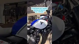 Triumph T4 Colour Options!