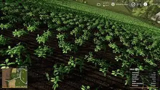 Farming Simulator 19 Crop rotation planner how to PS4 Fs19