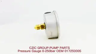 Pressure Gauge 0-400bar OEM 017250005