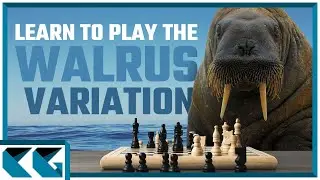 Chess Openings: Learn to Play the Walrus Variation (Ross Gambit Theory!)