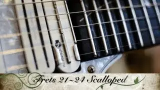 Обзор Ibanez Jem 7VWH &mdash; через Line 6 Vetta II с Полом Гловером