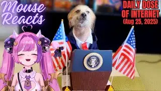 Mouse Reacts to Daily Dose of Internet: Best Pet Videos of The Decade (Aug 25, 2025)