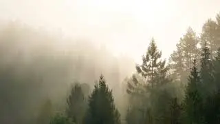 Picture This (A New World Awaits)