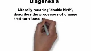 Diagenesis