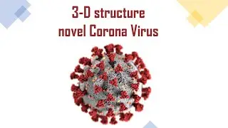 Novel Corona Virus -  How to obtain the 3-D structure?