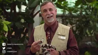 Connecticut's Beardsley Zoo Video