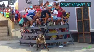 MONTSERRAT 31 INTEGRO ENTRA Ganadería Hnos. Asensi
