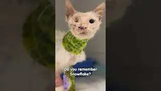 He Can See Again.