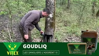 GOUDLIQ : Attractant sanglier 🐗