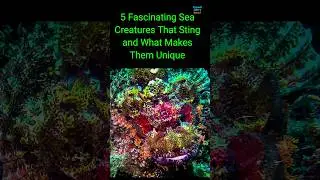 5 Fascinating Sea Creatures That Sting and What Makes Them Unique #shots #youtubeshorts