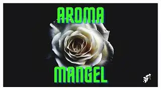 Mangel - Aroma (Audio Oficial)