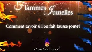Flammes Jumelles🔥: Et si l’on faisait fausse route?